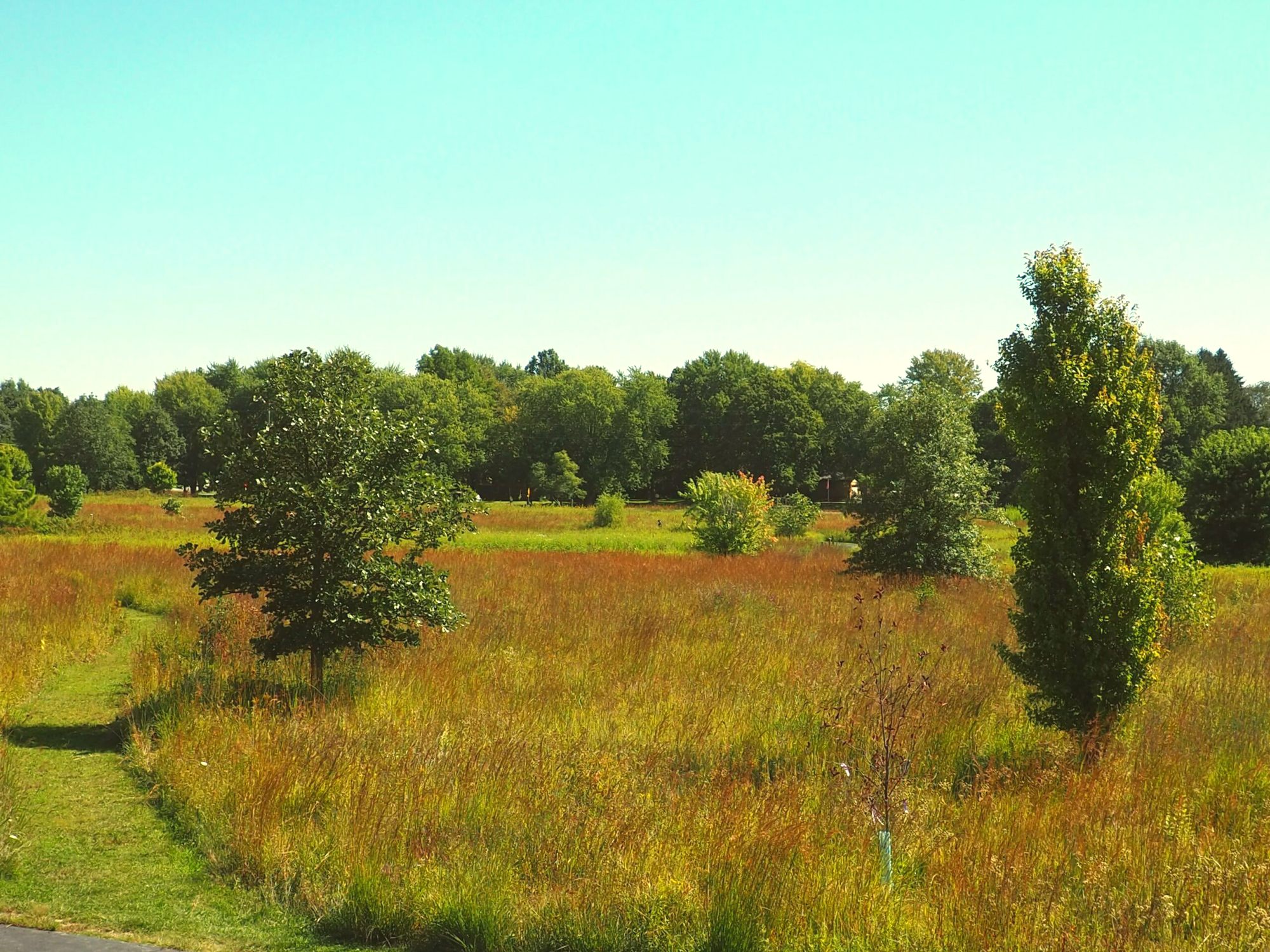Open prairie at Beckenholdt Park under a wide golden sky